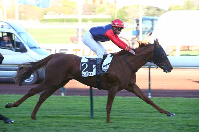 Photo d'arrivée de la course pmu PRIX DE MANOSQUE à MARSEILLE-BORELY le Lundi 30 octobre 2017