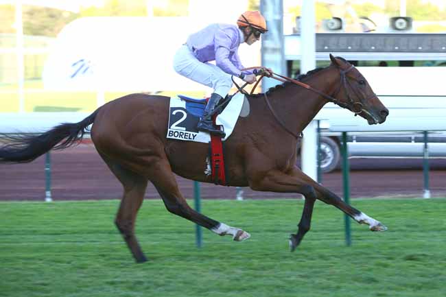 Photo d'arrivée de la course pmu PRIX SABY ZARAYA à MARSEILLE-BORELY le Lundi 30 octobre 2017
