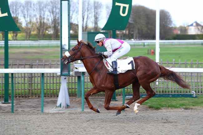 Photo d'arrivée de la course pmu PRIX DU BOIS TURQUET à CHANTILLY le Lundi 30 octobre 2017
