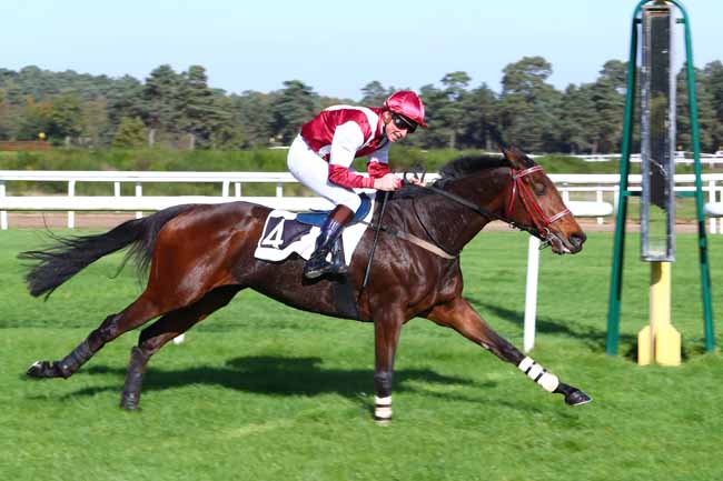 Photo d'arrivée de la course pmu PRIX WWW.COURSESCHEVAUX.FR à FONTAINEBLEAU le Mardi 31 octobre 2017