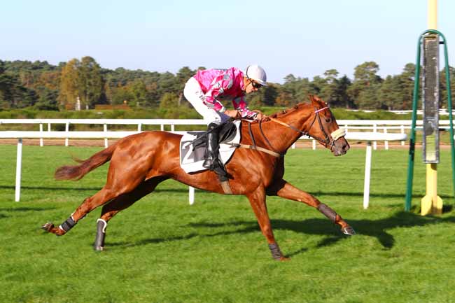 Photo d'arrivée de la course pmu PRIX PIERRE DEBROISE à FONTAINEBLEAU le Mardi 31 octobre 2017