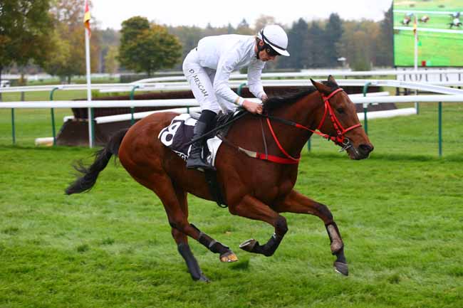 Photo d'arrivée de la course pmu PRIX LA FREGATE à COMPIEGNE le Jeudi 2 novembre 2017