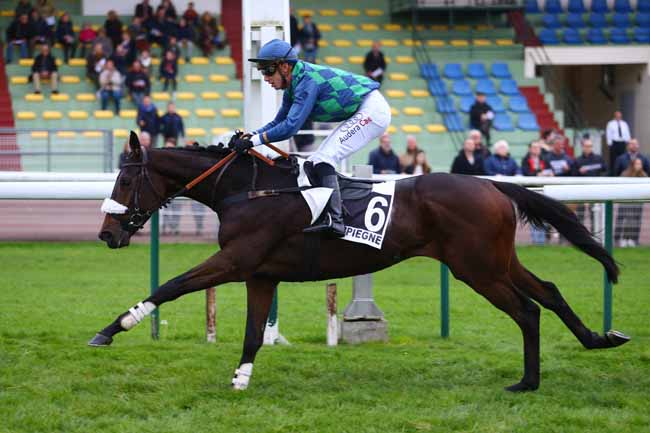 Photo d'arrivée de la course pmu PRIX CERILLY à COMPIEGNE le Jeudi 2 novembre 2017