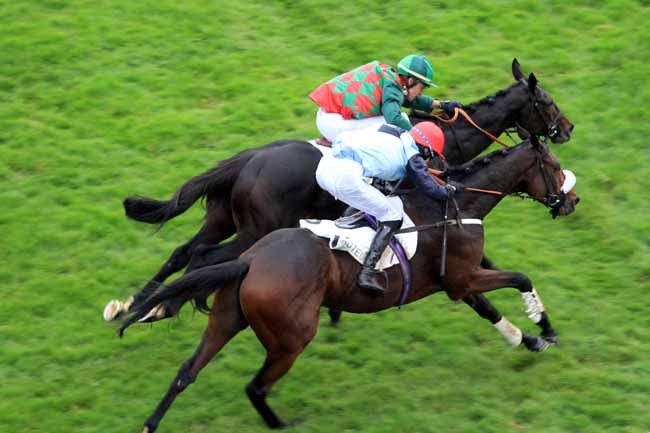 Photo d'arrivée de la course pmu GRAND PRIX D'AUTOMNE à AUTEUIL le Samedi 4 novembre 2017
