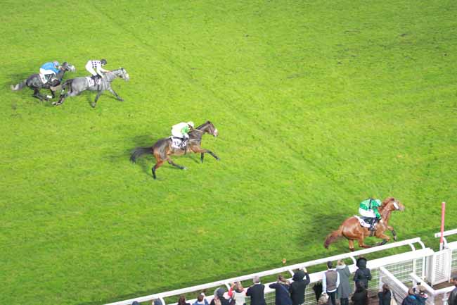 Photo d'arrivée de la course pmu PRIX OENEAS à AUTEUIL le Samedi 4 novembre 2017