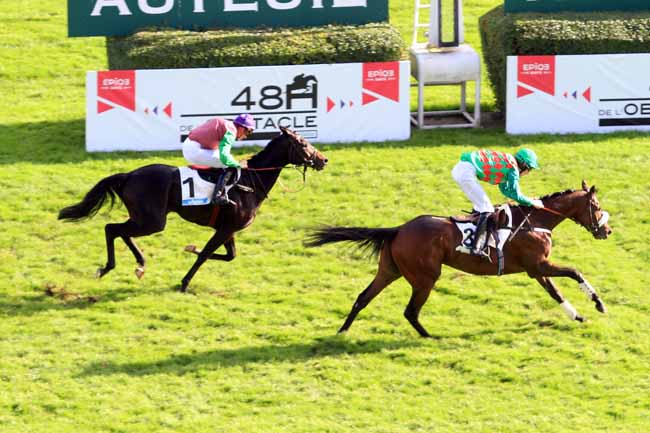 Photo d'arrivée de la course pmu PRIX LE PARISIEN - PRIX FONDEUR à AUTEUIL le Dimanche 5 novembre 2017