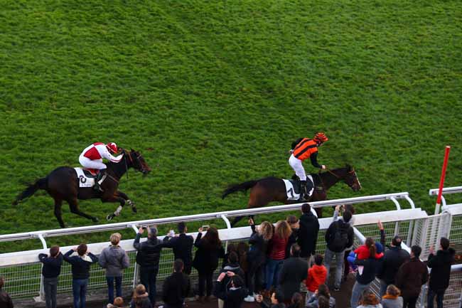 Photo d'arrivée de la course pmu PRIX MONDEVILLE à AUTEUIL le Dimanche 5 novembre 2017