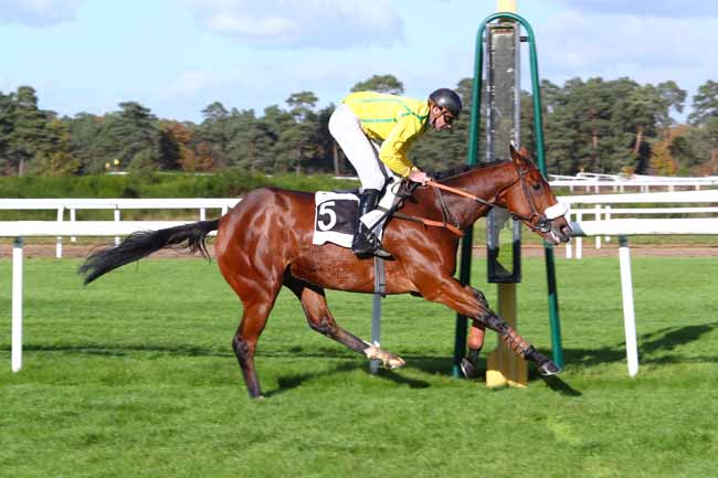 Photo d'arrivée de la course pmu PRIX DU BARON GEOFFROY DE WALDNER à FONTAINEBLEAU le Lundi 6 novembre 2017