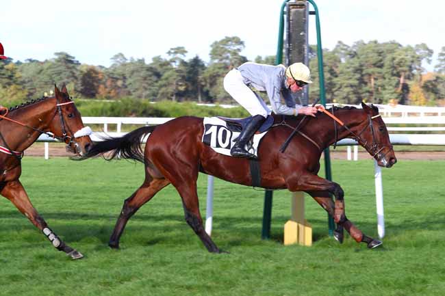 Photo d'arrivée de la course pmu PRIX DU BARON MAURICE DE NEXON à FONTAINEBLEAU le Lundi 6 novembre 2017