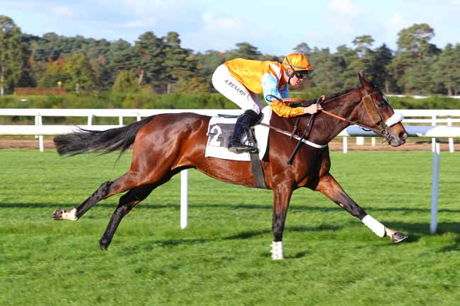 Photo d'arrivée de la course pmu PRIX DU DEBUCHER à FONTAINEBLEAU le Lundi 6 novembre 2017