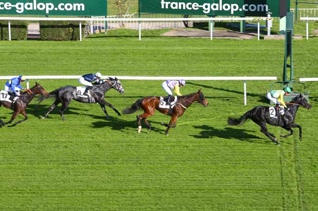 Photo d'arrivée de la course pmu PRIX DE FLINS-SUR-SEINE à SAINT-CLOUD le Mardi 7 novembre 2017
