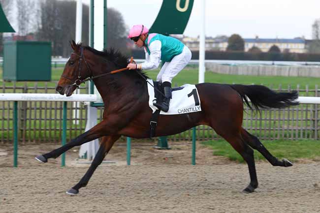 Photo d'arrivée de la course pmu PRIX DE LA BOUCLE D'EN HAUT à CHANTILLY le Mercredi 8 novembre 2017