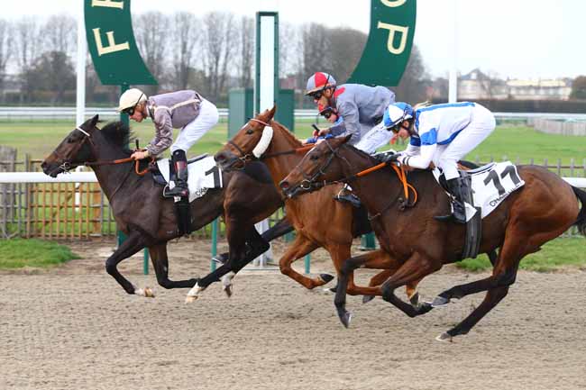 Photo d'arrivée de la course pmu PRIX DE LA ROUTE CHAPON à CHANTILLY le Mercredi 8 novembre 2017