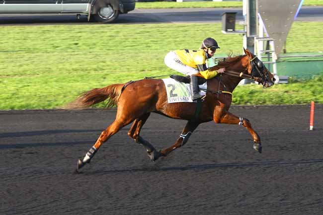 Photo d'arrivée de la course pmu PRIX OLRY-ROEDERER à PARIS-VINCENNES le Jeudi 9 novembre 2017