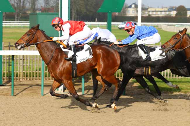 Photo d'arrivée de la course pmu PRIX DE LA CABOTIERE à CHANTILLY le Jeudi 9 novembre 2017