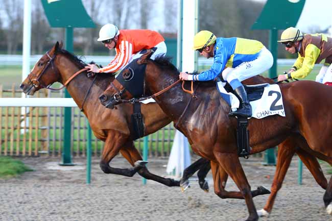 Photo d'arrivée de la course pmu PRIX DE L'YSIEUX à CHANTILLY le Jeudi 9 novembre 2017