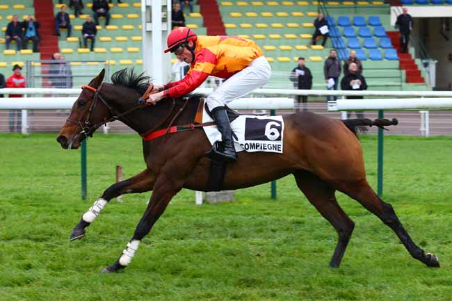 Photo d'arrivée de la course pmu PRIX ELISA à COMPIEGNE le Vendredi 10 novembre 2017