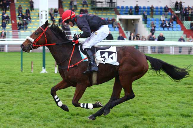 Photo d'arrivée de la course pmu GRAND STEEPLE CHASE-CROSS-COUNTRY DE COMPIEGNE à COMPIEGNE le Vendredi 10 novembre 2017