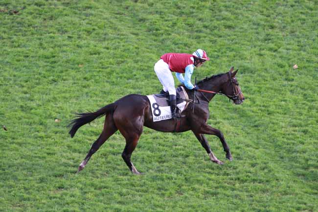 Photo d'arrivée de la course pmu PRIX SYTAJ à AUTEUIL le Dimanche 12 novembre 2017