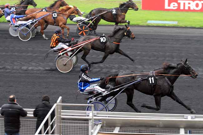 Photo d'arrivée de la course pmu PRIX DU LANGUEDOC à PARIS-VINCENNES le Lundi 13 novembre 2017