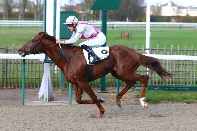 Photo d'arrivée de la course pmu PRIX DE LA ROUTE DE LA LOGE à CHANTILLY le Lundi 13 novembre 2017