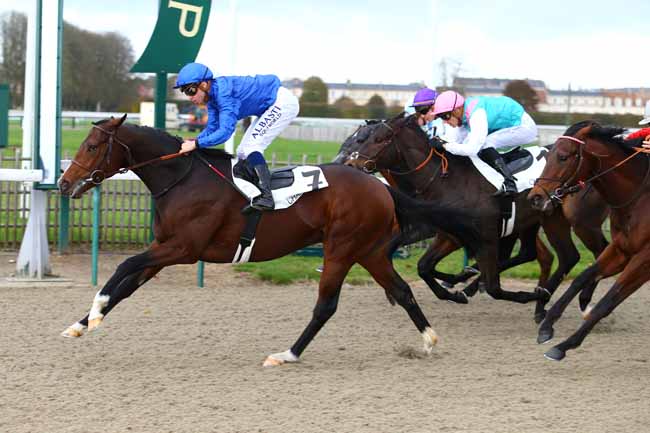 Photo d'arrivée de la course pmu PRIX DE LA CROIX MARQUET à CHANTILLY le Lundi 13 novembre 2017