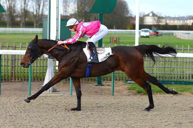 Photo d'arrivée de la course pmu PRIX DE LA FORET DE L'ISLE-ADAM à CHANTILLY le Lundi 13 novembre 2017