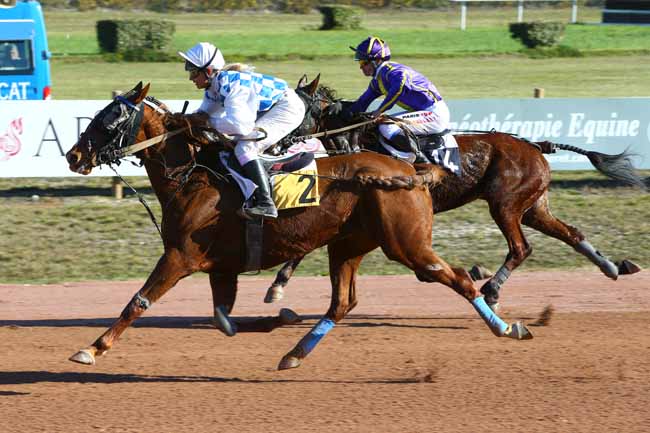Photo d'arrivée de la course pmu PRIX FANDANGO à BORDEAUX-LE BOUSCAT le Mardi 14 novembre 2017