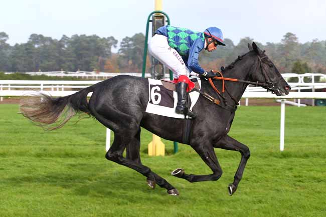 Photo d'arrivée de la course pmu PRIX DU MONT USSY à FONTAINEBLEAU le Mardi 14 novembre 2017