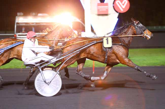 Photo d'arrivée de la course pmu PRIX FLORENTINA à PARIS-VINCENNES le Mardi 14 novembre 2017