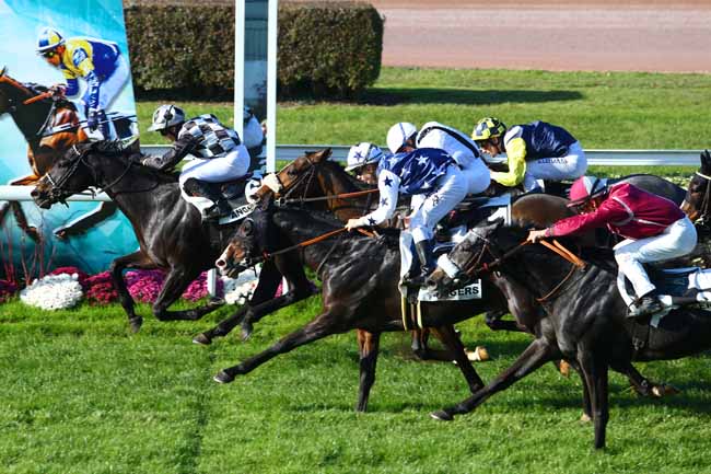 Photo d'arrivée de la course pmu HANDICAP D'ANGERS à ANGERS le Mercredi 15 novembre 2017