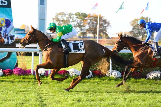 Photo d'arrivée de la course pmu PRIX DAVID D'ANGERS à ANGERS le Mercredi 15 novembre 2017
