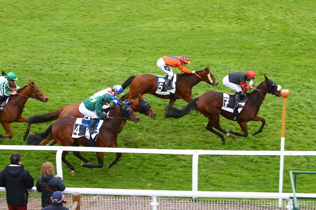 Photo d'arrivée de la course pmu PRIX DE HERICY-SUR-SEINE à FONTAINEBLEAU le Jeudi 16 novembre 2017