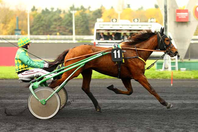 Photo d'arrivée de la course pmu PRIX D'AIX-LES-BAINS à PARIS-VINCENNES le Jeudi 16 novembre 2017