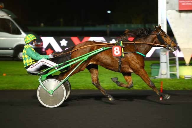 Photo d'arrivée de la course pmu PRIX VULPECULA à PARIS-VINCENNES le Vendredi 17 novembre 2017