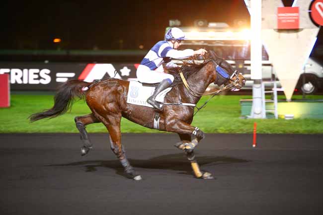 Photo d'arrivée de la course pmu PRIX HYPERION à PARIS-VINCENNES le Vendredi 17 novembre 2017