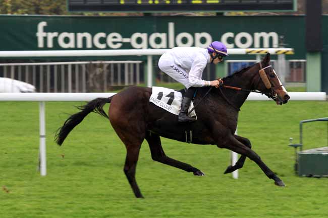 Photo d'arrivée de la course pmu PRIX ROGER DE LA VAISSIERE à SAINT-CLOUD le Vendredi 17 novembre 2017