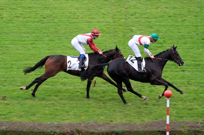 Photo d'arrivée de la course pmu PRIX ORTIE BLANCHE à SAINT-CLOUD le Vendredi 17 novembre 2017