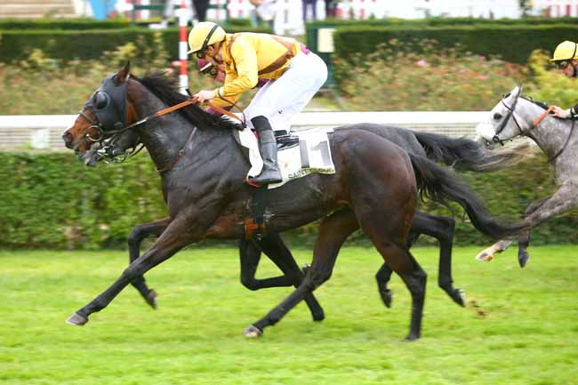 Photo d'arrivée de la course pmu PRIX D'OUILLY à SAINT-CLOUD le Vendredi 17 novembre 2017