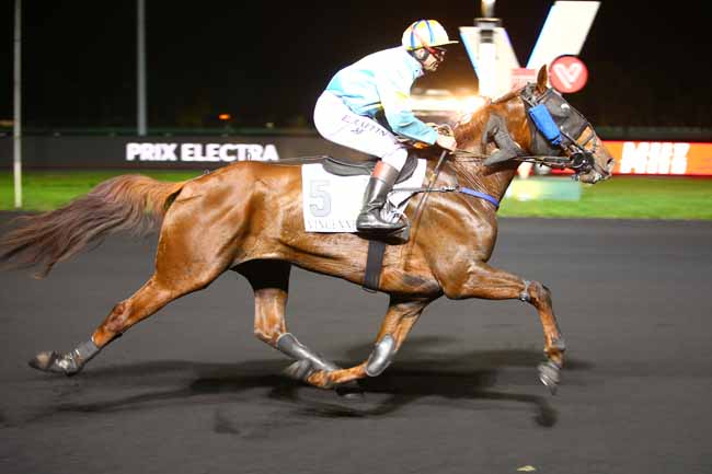 Photo d'arrivée de la course pmu PRIX ELECTRA à PARIS-VINCENNES le Mardi 21 novembre 2017