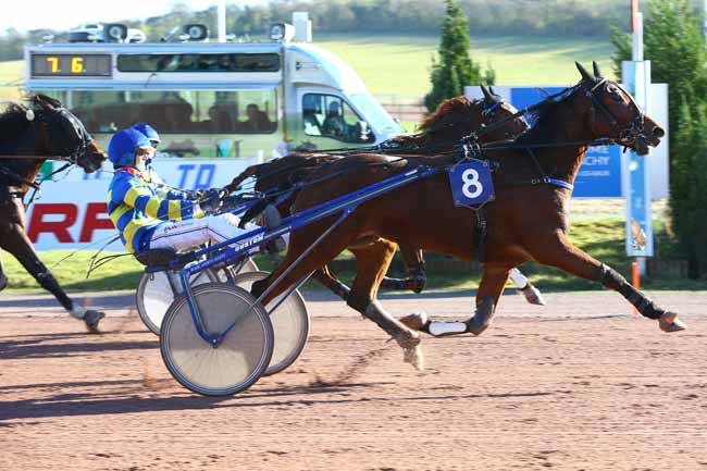 Photo d'arrivée de la course pmu PRIX MAURICE DE FOLLEVILLE à MAUQUENCHY le Mercredi 22 novembre 2017