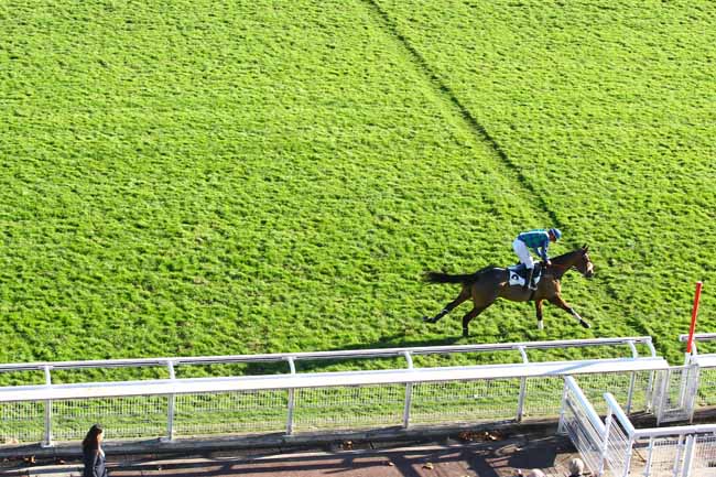 Photo d'arrivée de la course pmu PRIX STYRAX à AUTEUIL le Mercredi 22 novembre 2017