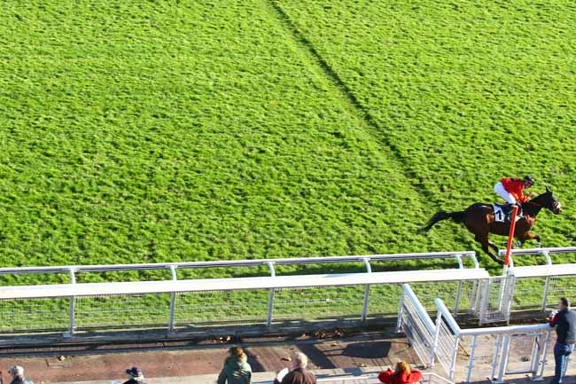 Photo d'arrivée de la course pmu PRIX FRANCOIS DE PONCINS à AUTEUIL le Mercredi 22 novembre 2017