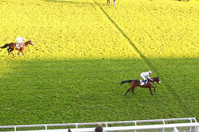 Photo d'arrivée de la course pmu PRIX MARLY RIVER à AUTEUIL le Mercredi 22 novembre 2017