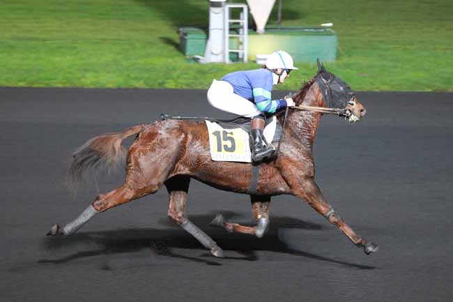 Photo d'arrivée de la course pmu PRIX DE CABRIERES à PARIS-VINCENNES le Jeudi 23 novembre 2017