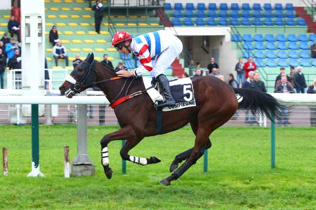 Photo d'arrivée de la course pmu PRIX ROGER DE MINVIELLE à COMPIEGNE le Vendredi 24 novembre 2017
