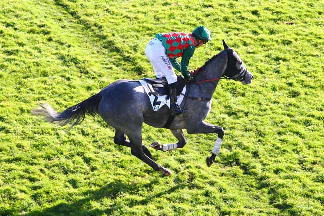 Photo d'arrivée de la course pmu PRIX KERYM à AUTEUIL le Dimanche 26 novembre 2017