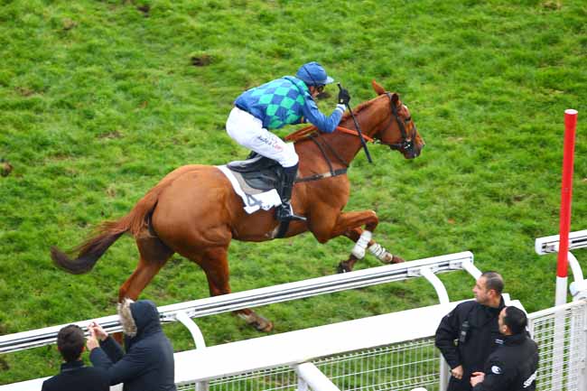 Photo d'arrivée de la course pmu PRIX LEON OLRY-ROEDERER à AUTEUIL le Dimanche 26 novembre 2017
