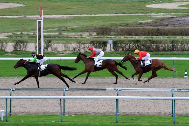 Photo d'arrivée de la course pmu PRIX DE BURSARD à DEAUVILLE le Lundi 27 novembre 2017