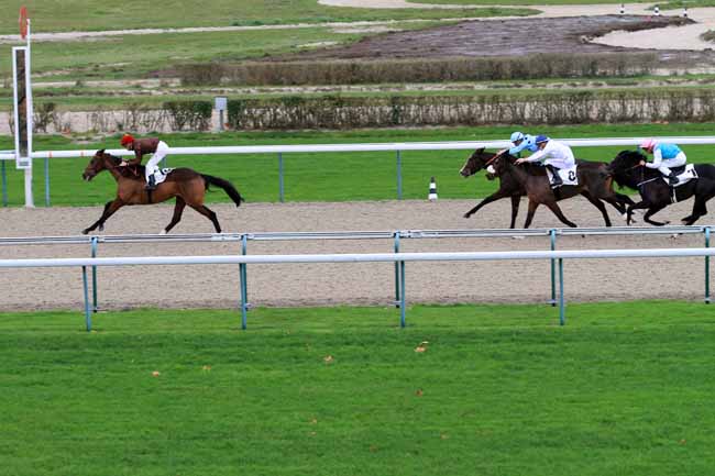 Photo d'arrivée de la course pmu PRIX DE LA ROQUE à DEAUVILLE le Lundi 27 novembre 2017